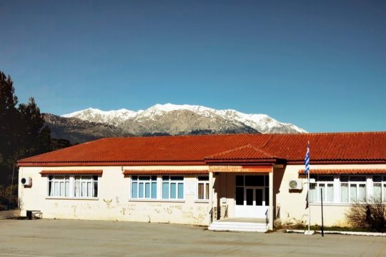 ataxia school